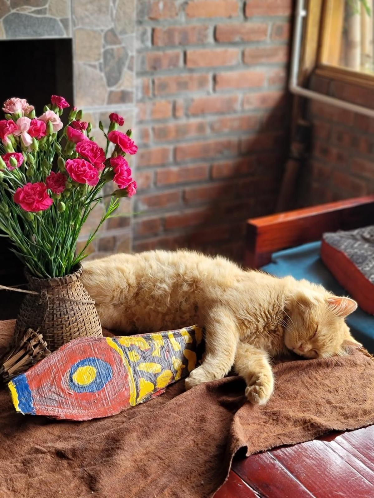 Sapa'S Soul Apartment Luaran gambar